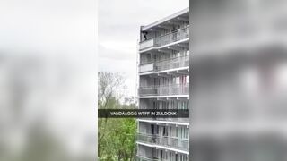 Suicide Falling On The Roof Of A Car 