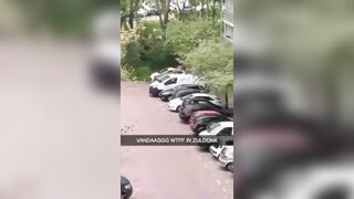 Suicide Falling On The Roof Of A Car 