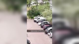 Suicide Falling On The Roof Of A Car 