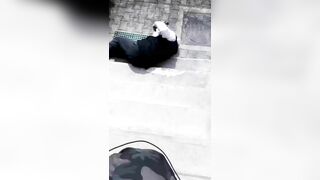 Teenager Attacks Woman With Knife To Complete Online Task