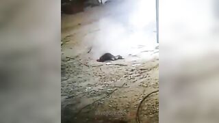 This Is How A Bad Electrician Works 
