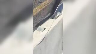 Driver Survives Accident But His Truck Is Totaled