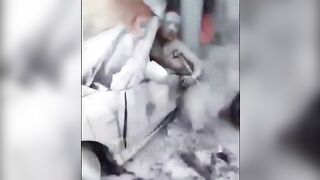 Driver Burned Alive In Car 