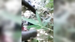 Tragic Death Of A Woman - Slashed And Stabbed