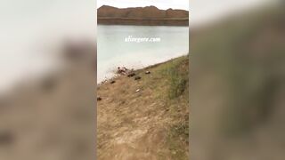 The Guy Tried To Jump Into The Water But Ended Up On The Shore