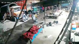 Leopard Stole The Dog. India 