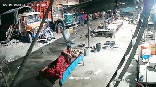 Leopard Stole The Dog. India 
