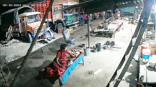 Leopard Stole The Dog. India 
