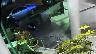 The Mafia Boss Was Shot Dead In Front Of The Hotel.