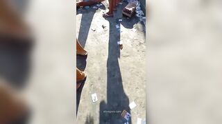 The Man Was Shot Multiple Times In The Head And Died 