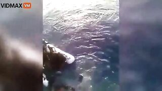 This Boat Full Of Illegal African Immigrants Drowned Near The Coast