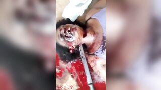 Aunt Toothless Gets Her Neck Stabbed With A Machete 