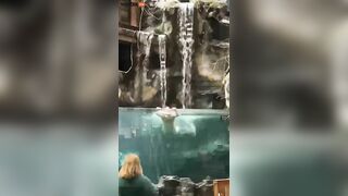 Totally Crazy Guy Crashes His Car And Runs Into The Bass Pro Shop