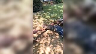 Two Attack Dogs Eat A Captured Thief's Hand To The Bone