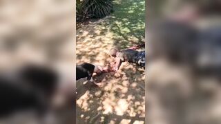 Two Attack Dogs Eat A Captured Thief's Hand To The Bone