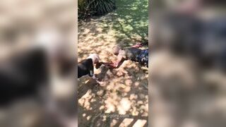 Two Attack Dogs Eat A Captured Thief's Hand To The Bone
