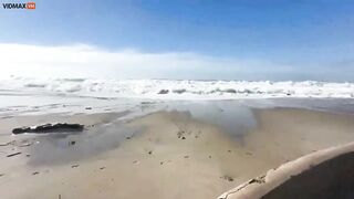 Wild Nature: Eight People Hospitalized Due To Huge Waves