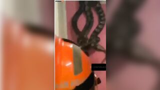 When Giant Snakes Fall From The Ceiling!!! - Video - Video