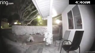 90 Mph In Residential Area At Night