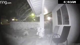 90 Mph In Residential Area At Night