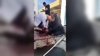 Egypt Accident