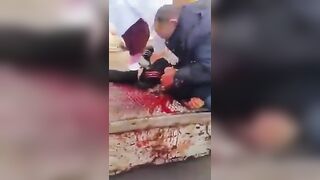 Egypt Accident