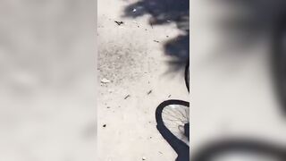 The Consequences Of A Head-on Collision Between Motorcyclists