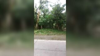 Consequences Of A Minibus Accident