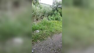 Consequences Of A Minibus Accident