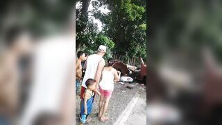 Consequences Of A Minibus Accident