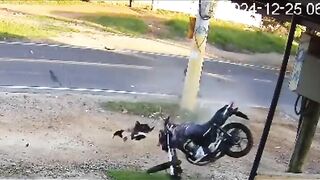 Cyclist Crashes Into Power Pole In Devastating Fashion