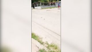The Cyclist Was Still Breathing, With Blood And Brain Pouring Out Of His Skull