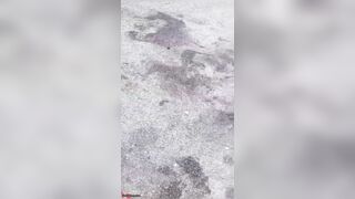 Cyclist Brutally Dismembered By Partition