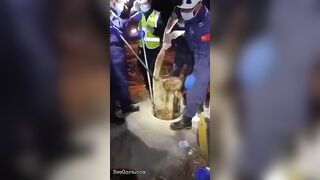Swollen Man Pulled Out Of Hole