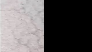 Brazilian Motorcyclist Killed In Wild Accident
