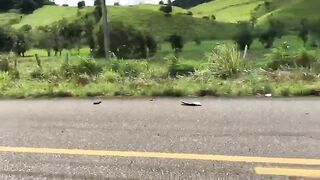 Brutal Accident Involving A Group Of Motorcyclists