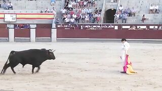 The Bull Seriously Injured Two Matadors, One Of Whom Had A Scrotal Injury