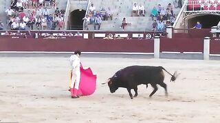The Bull Seriously Injured Two Matadors, One Of Whom Had A Scrotal Injury
