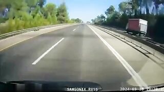 Bus Hits Person