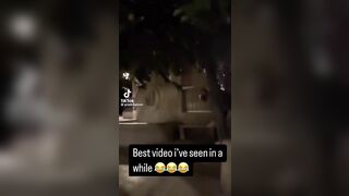 Carrying A Friend On Your Back