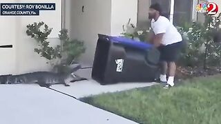 Catching Alligators