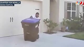 Catching Alligators