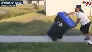 Catching Alligators