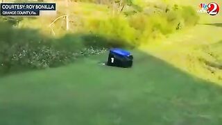 Catching Alligators