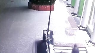 Christmas Doom Final Destination Christmas Tree For 2 People