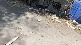Couple Killed In Horrific Motorcycle Accident