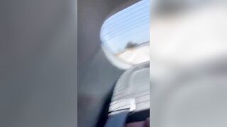 Cows Dare To Escape On The Highway
