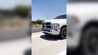 Cows Dare To Escape On The Highway