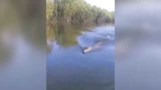Crocodile Wants To Greet A Couple On A Boat