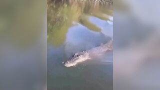 Crocodile Wants To Greet A Couple On A Boat